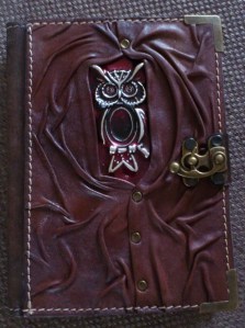 Owl Notebook