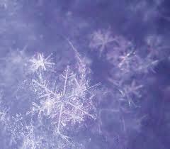 Snowflakes